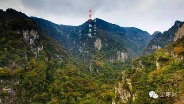 徐家汇商圈年味正浓,邀你一起“寻龙”过大年!|爱申活暖心春